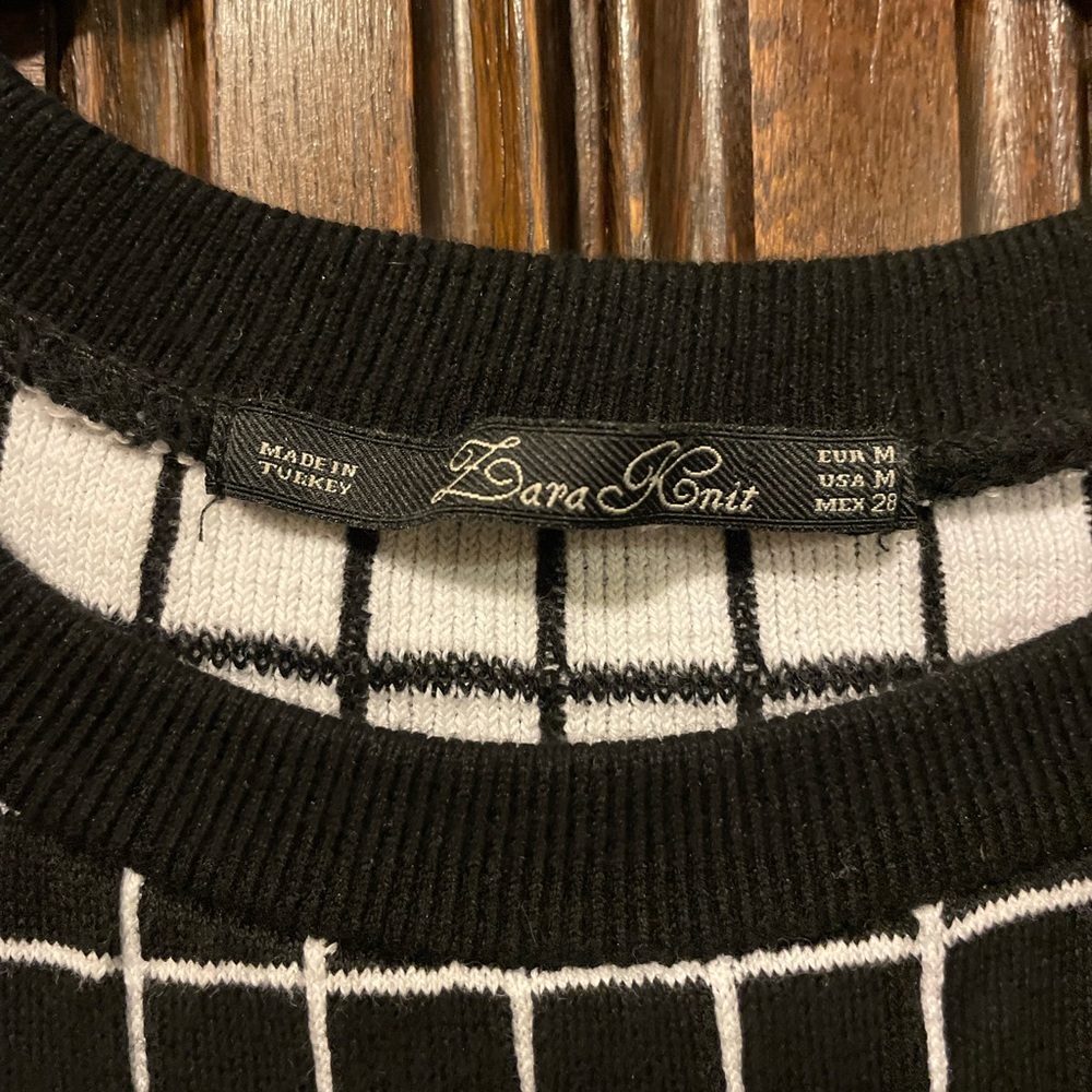 Zara Knit sweater.  Soft and lightweight.